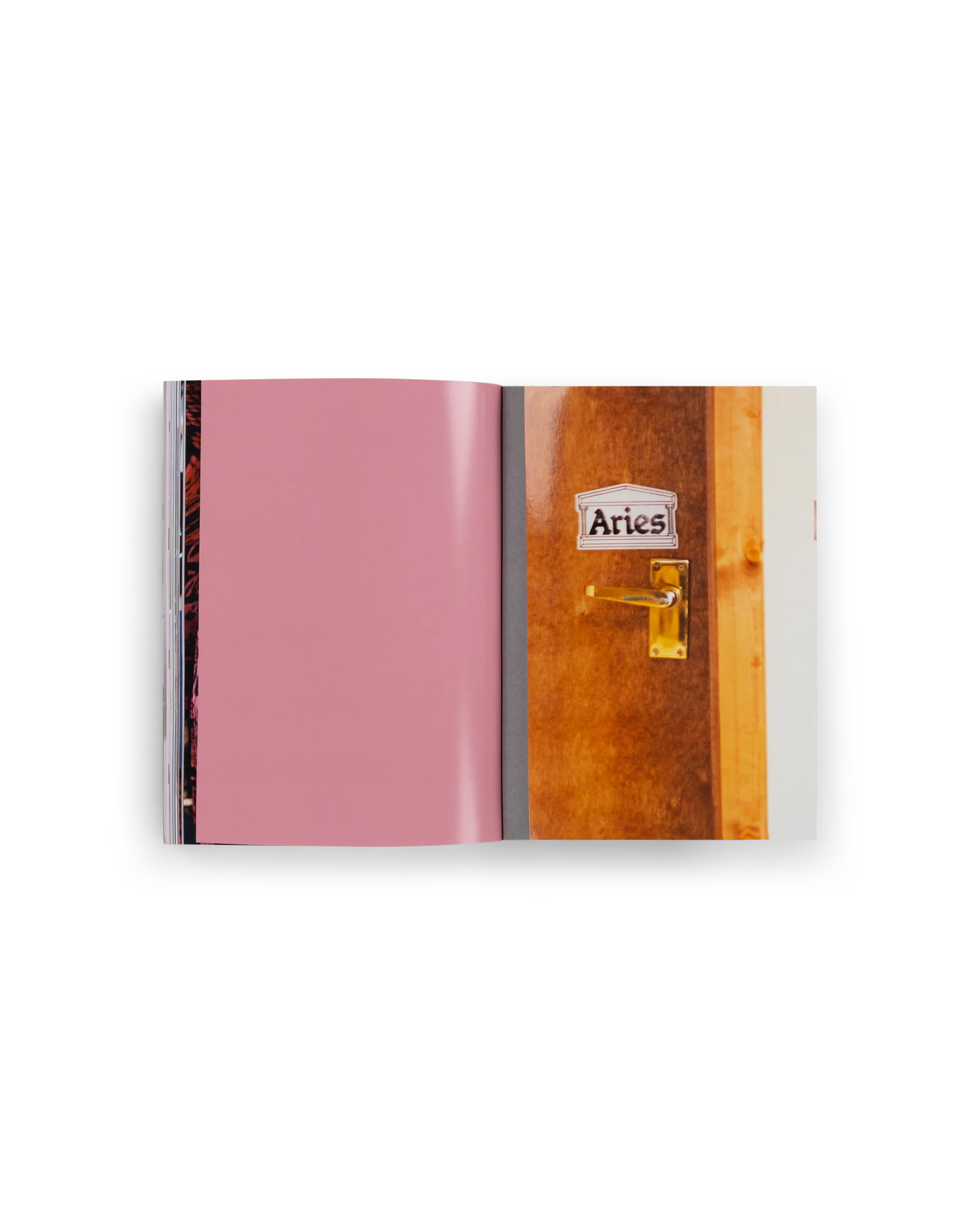 Aries Rizzoli Book - Image 10