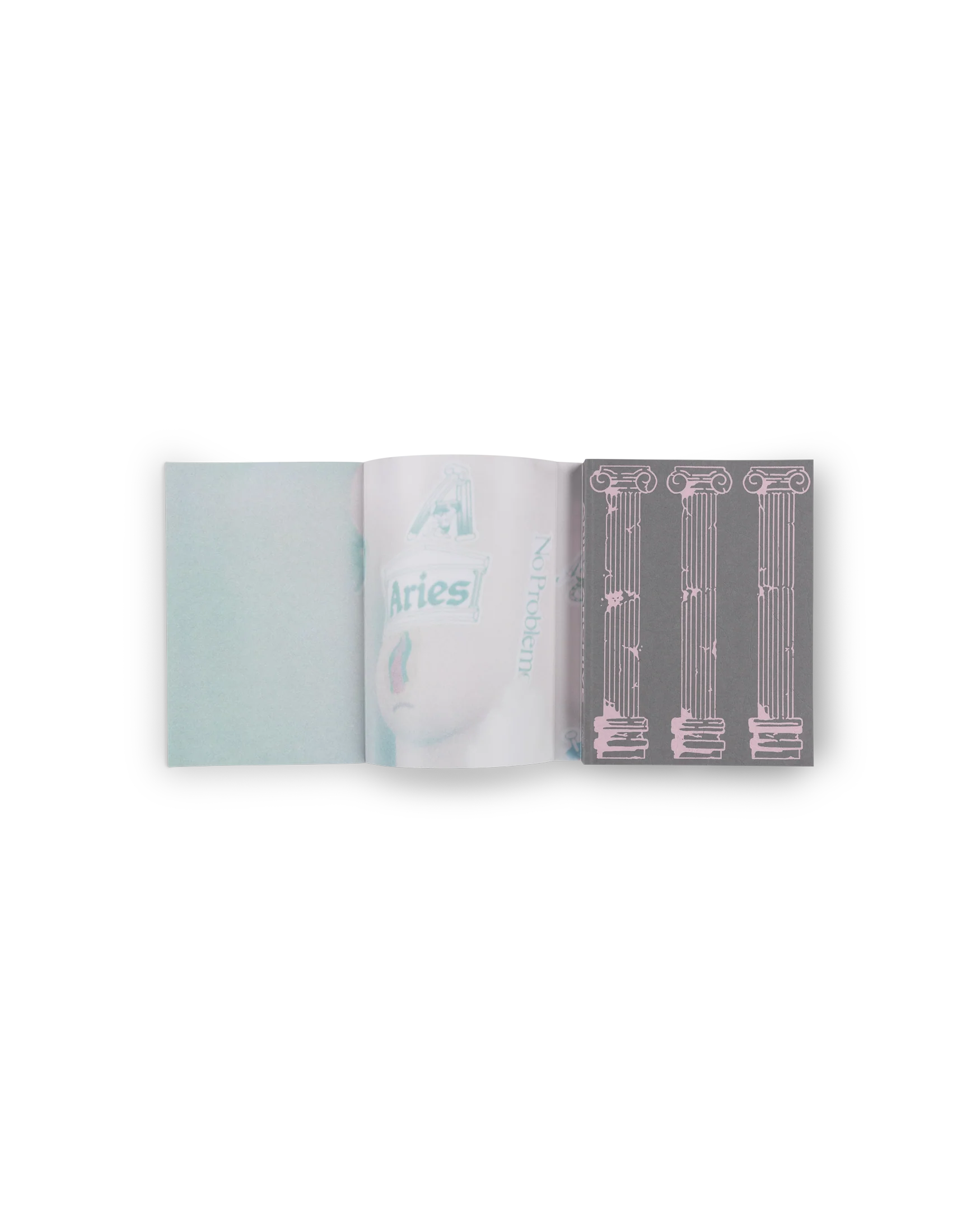 Aries Rizzoli Book - Image 4
