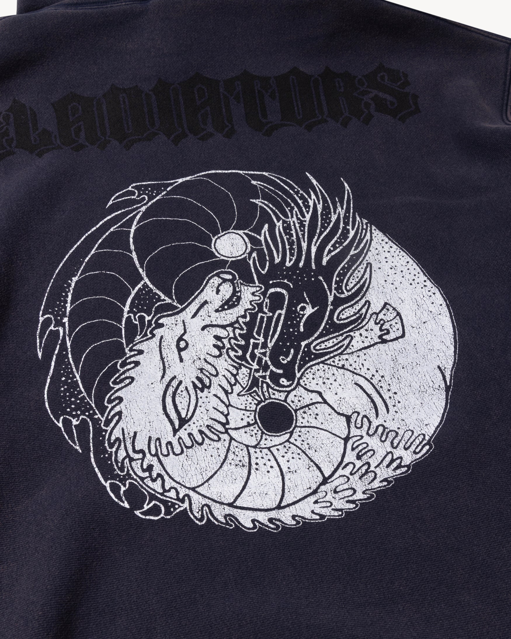 Aries x Champion Truth Hoodie - Image 3