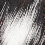Column Carabiner Ponyskin Keychain - Image 5