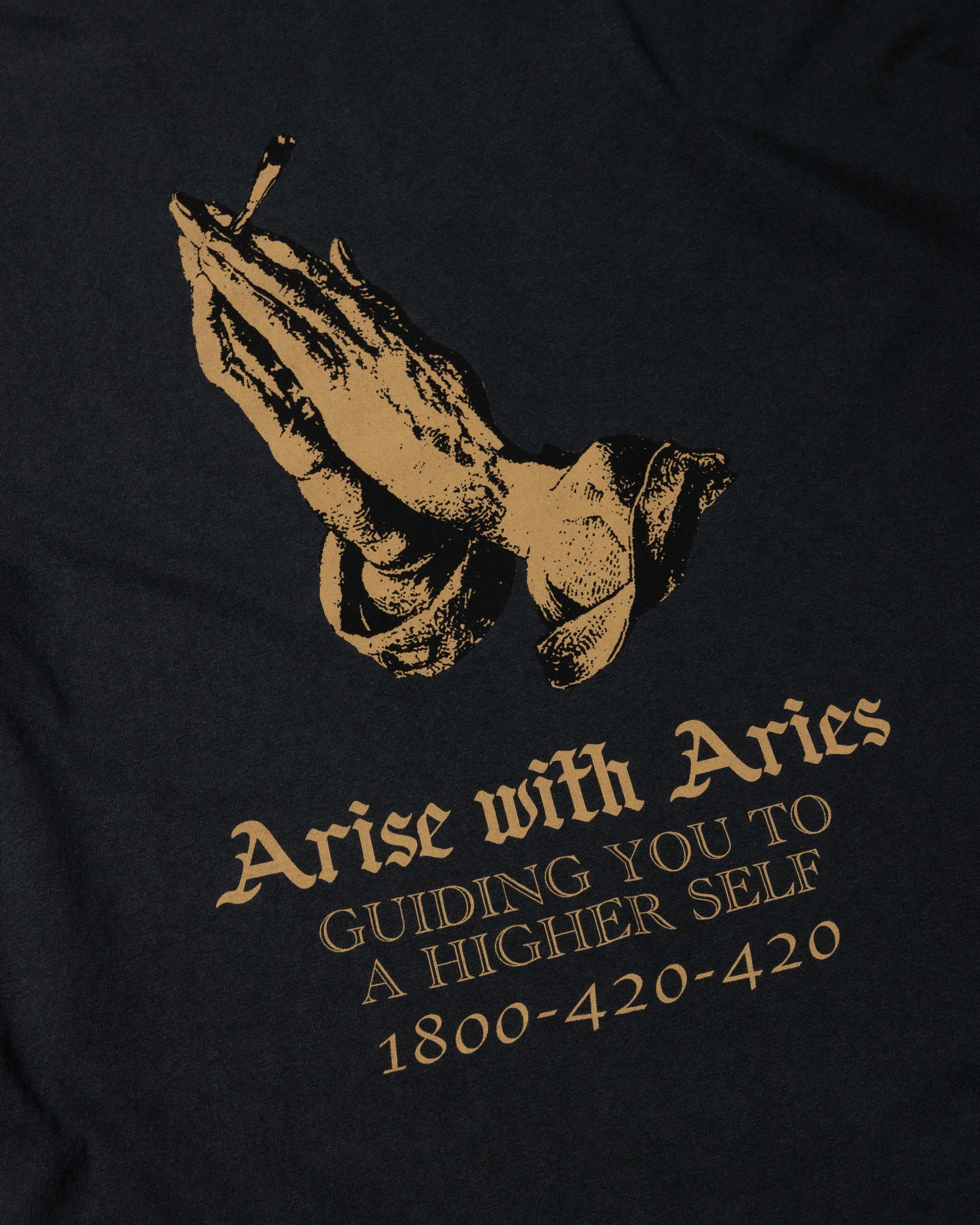 Faded Arise with Aries SS Tee - Image 4