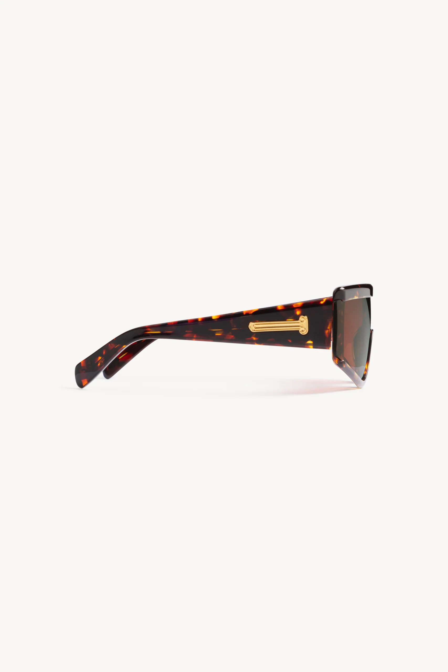 Aries x RSF Zed Havana - Image 3