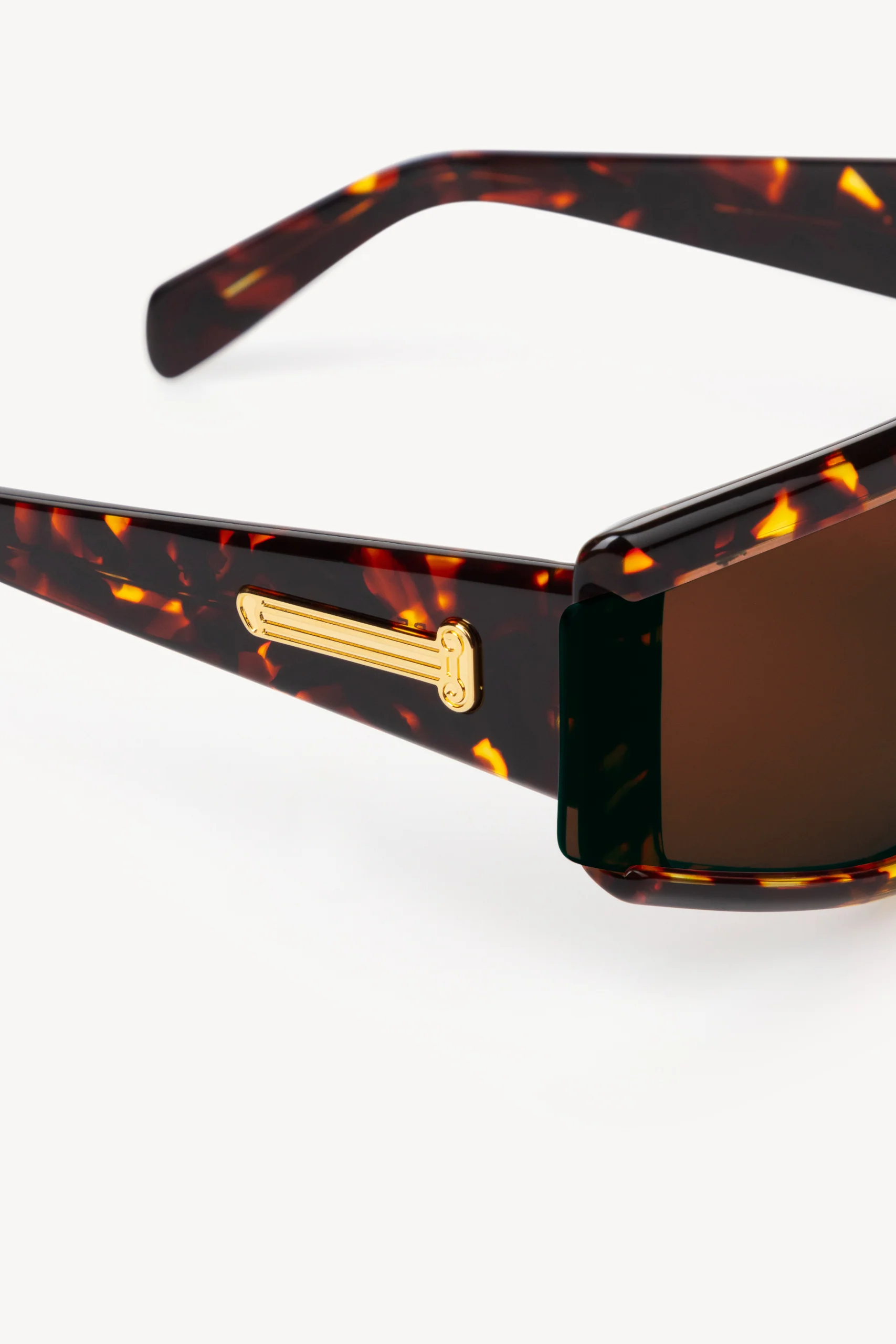 Aries x RSF Zed Havana - Image 6
