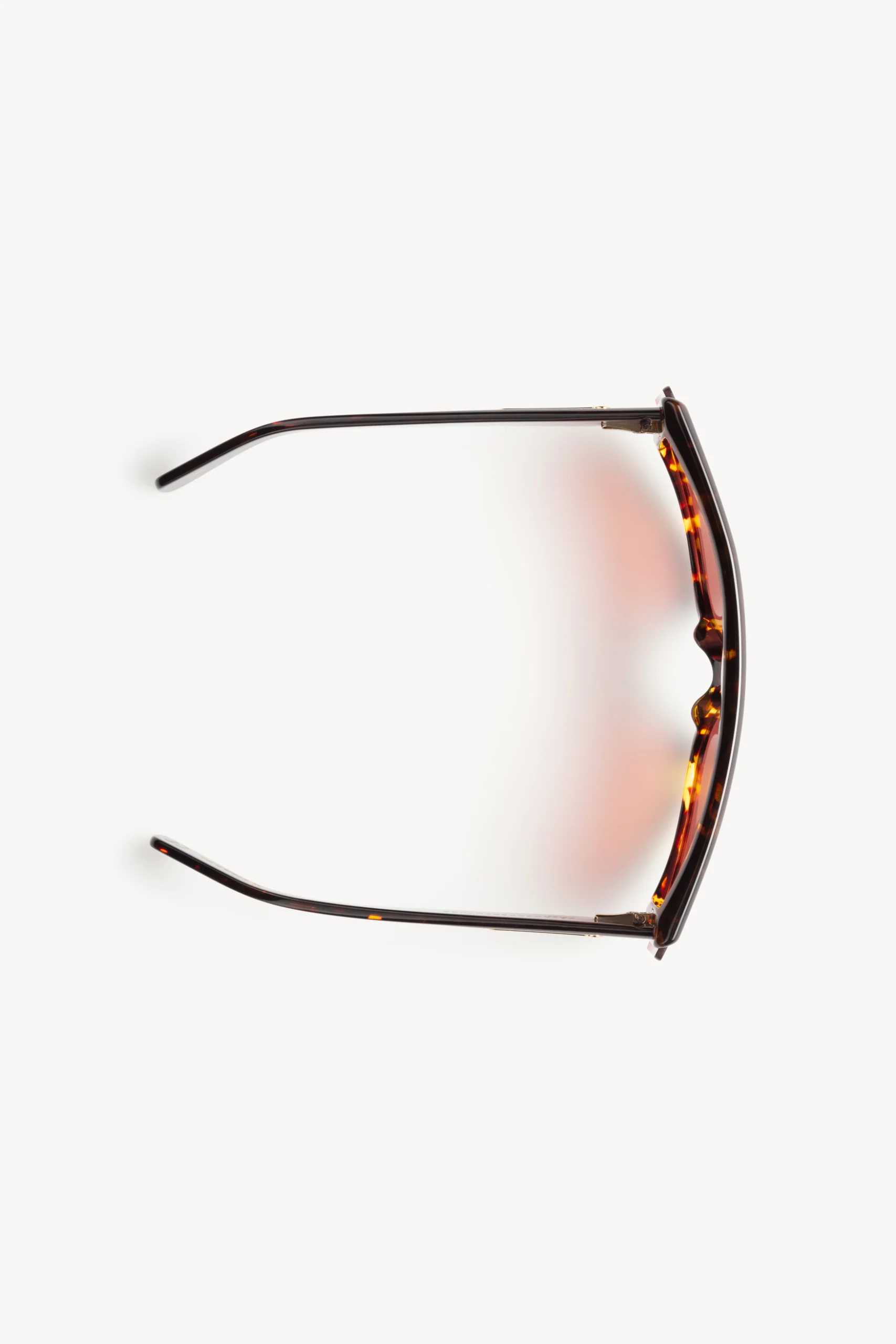 Aries x RSF Zed Havana - Image 7