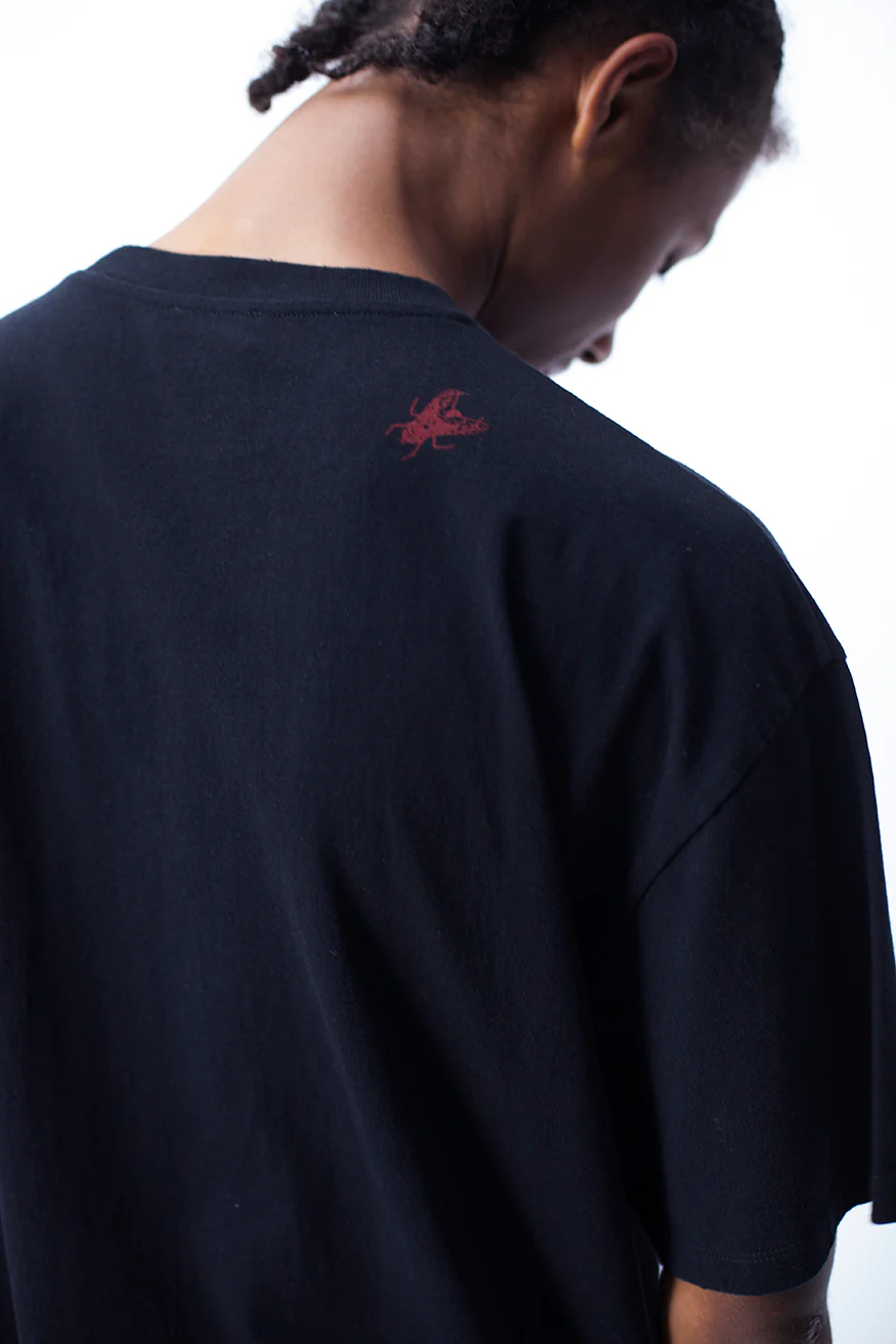 Aries Project SS T - Image 4