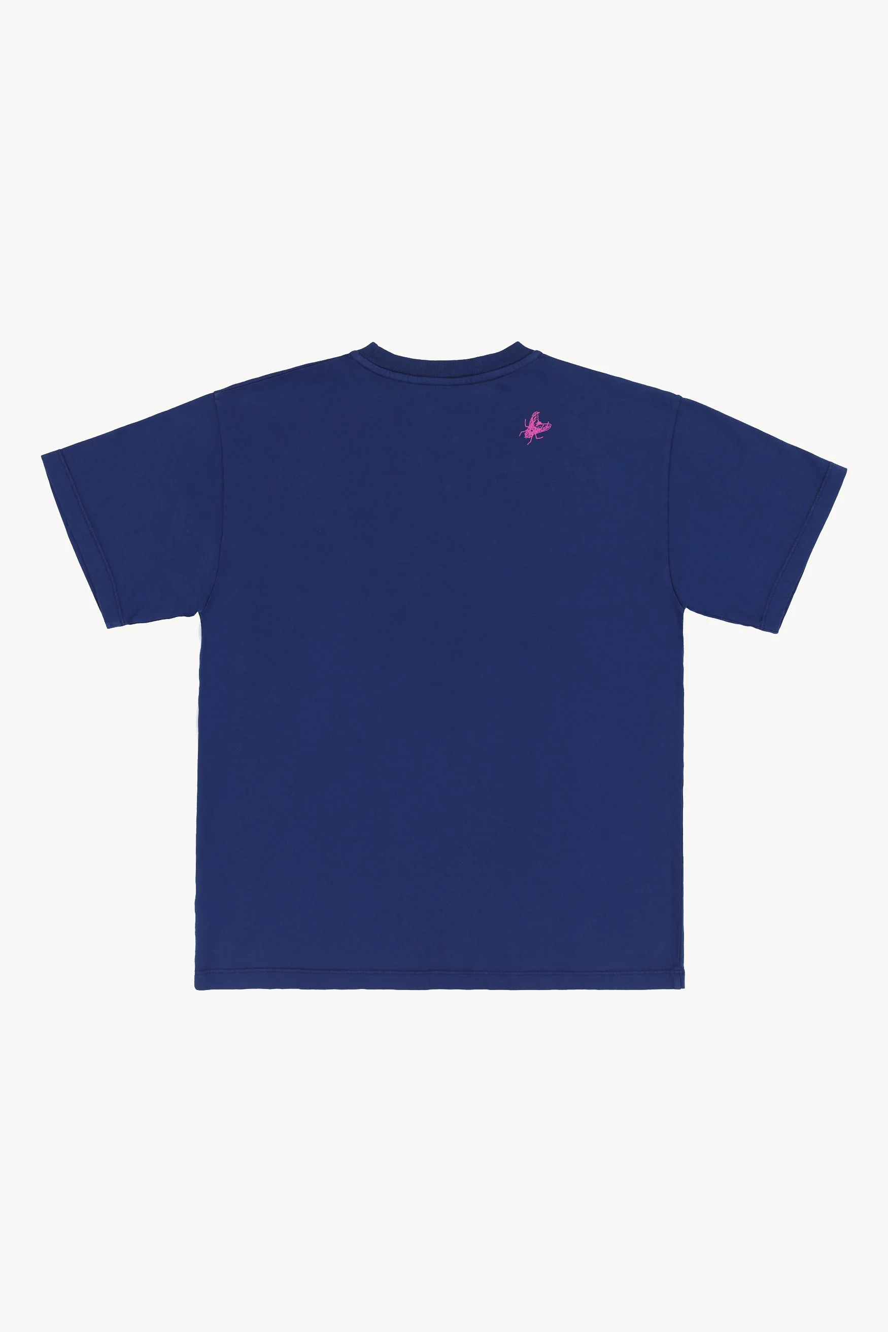 The Aries Project T - Image 2