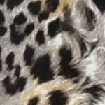 Copy of: Leopard Batten Jean - Image 2