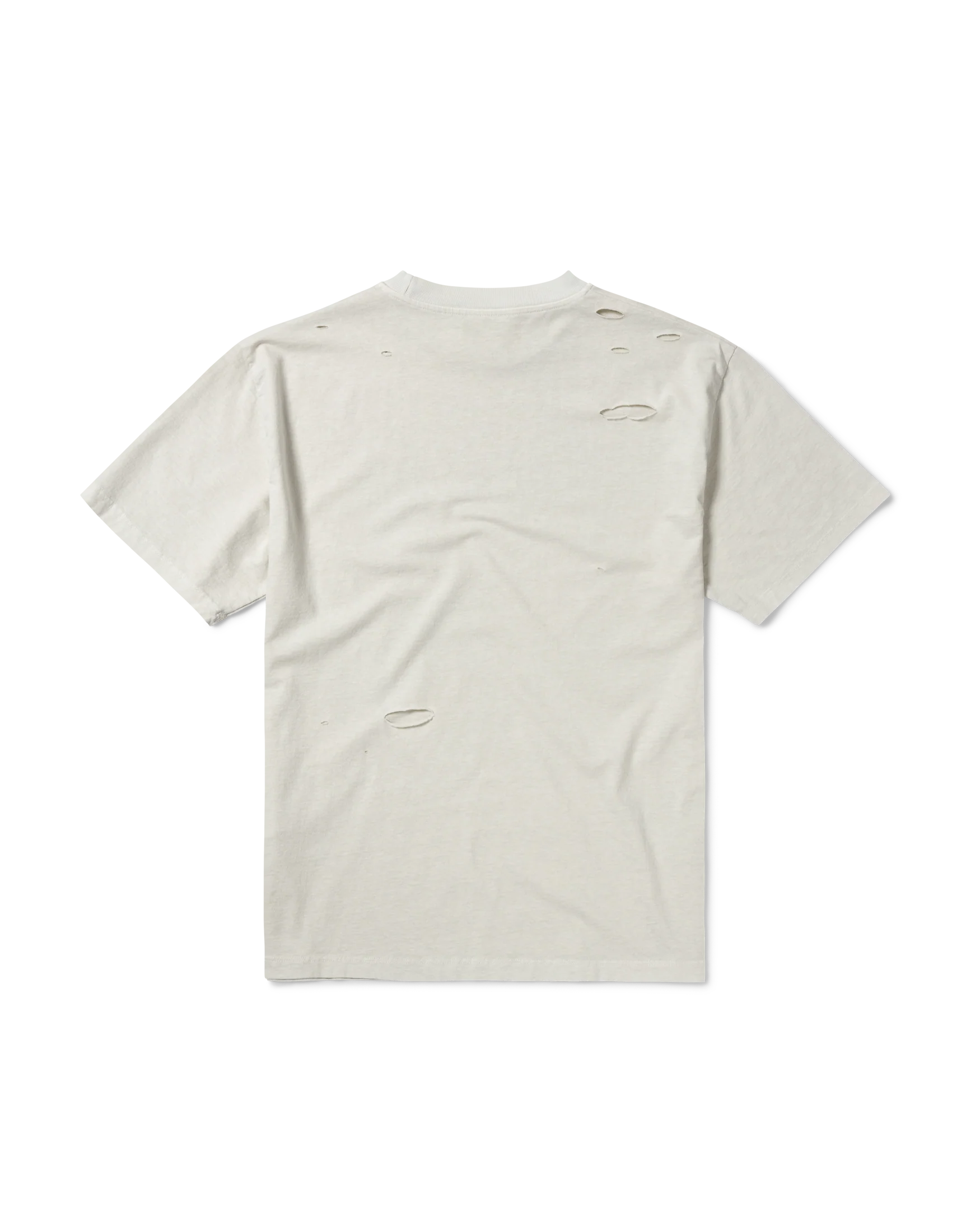 Destroyed Sororitee SS Tee - Image 3