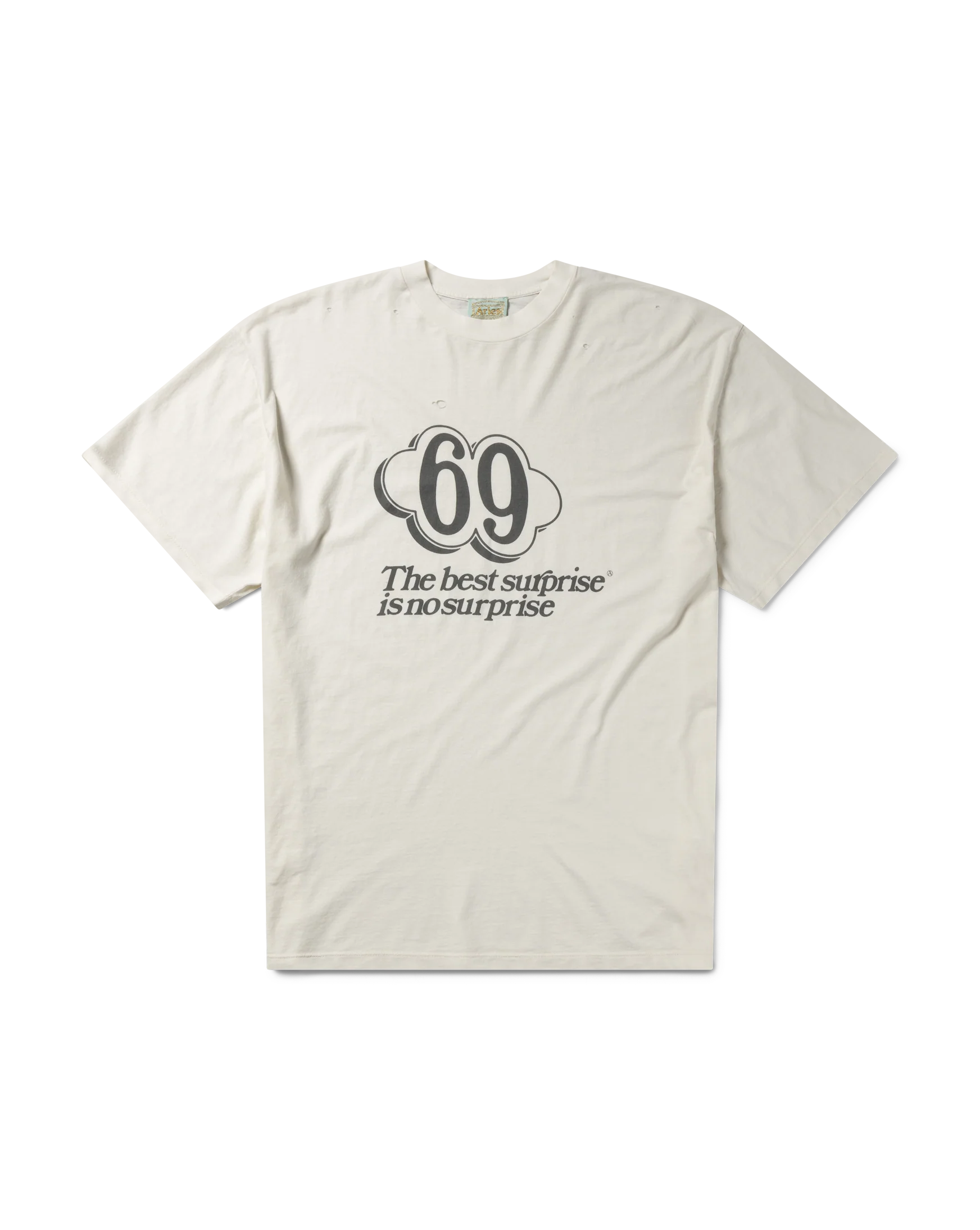 Destroyed 69 SS Tee