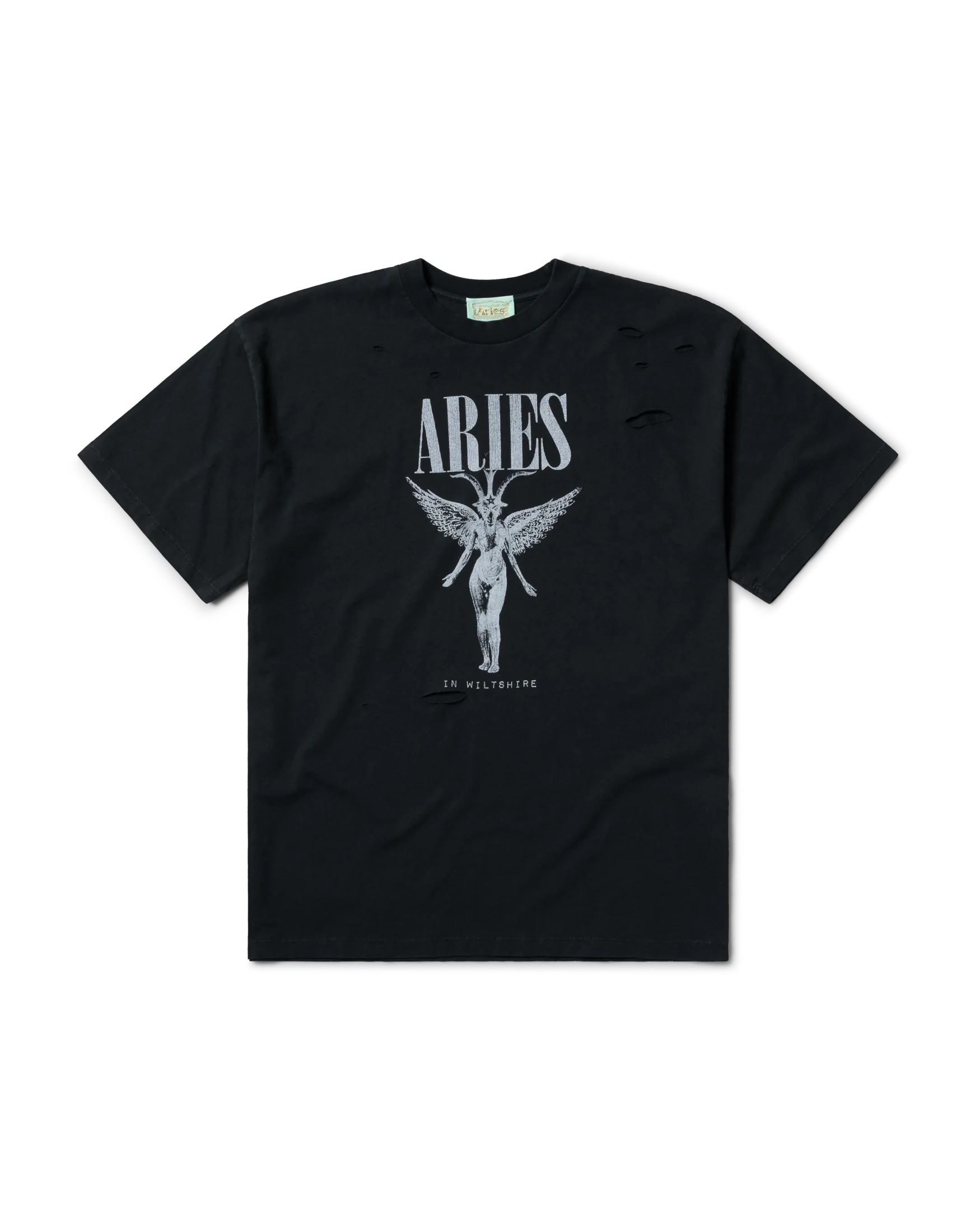 Destroyed Nirvana SS Tee
