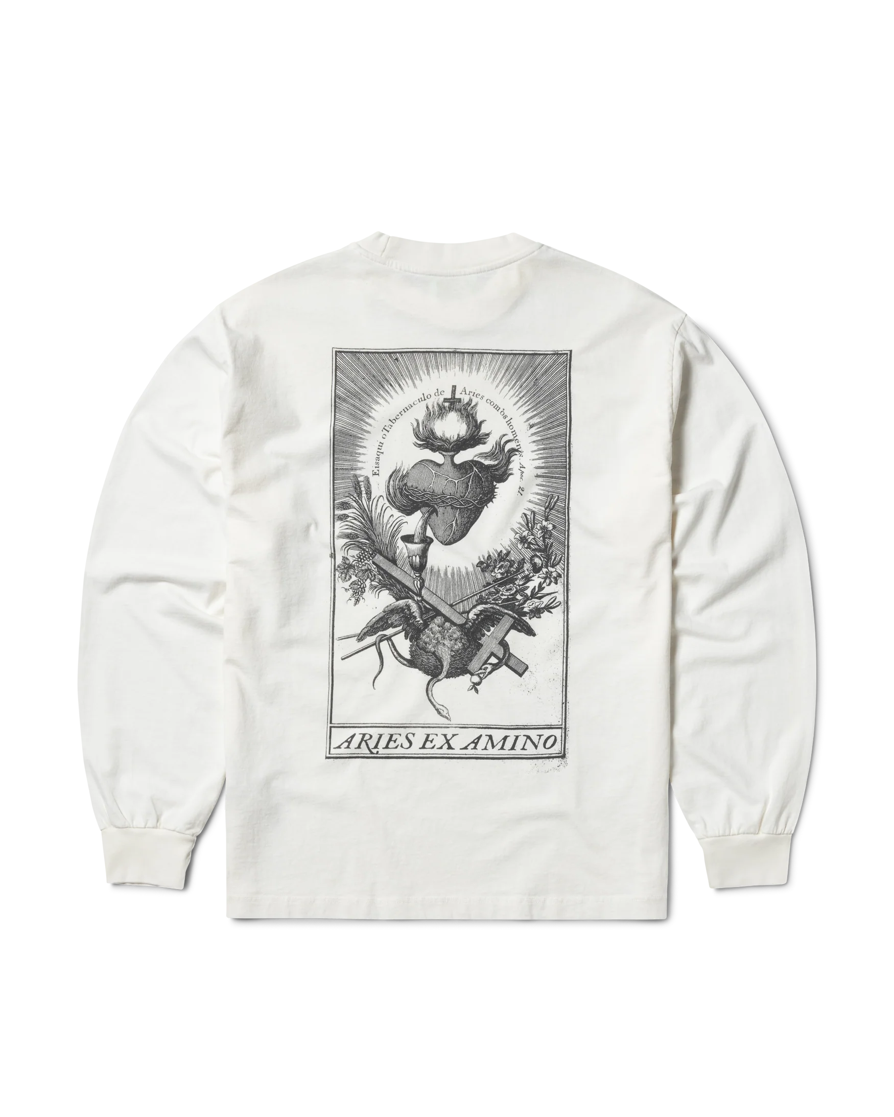 Faded Aries Ex Amino LS Tee - Image 3