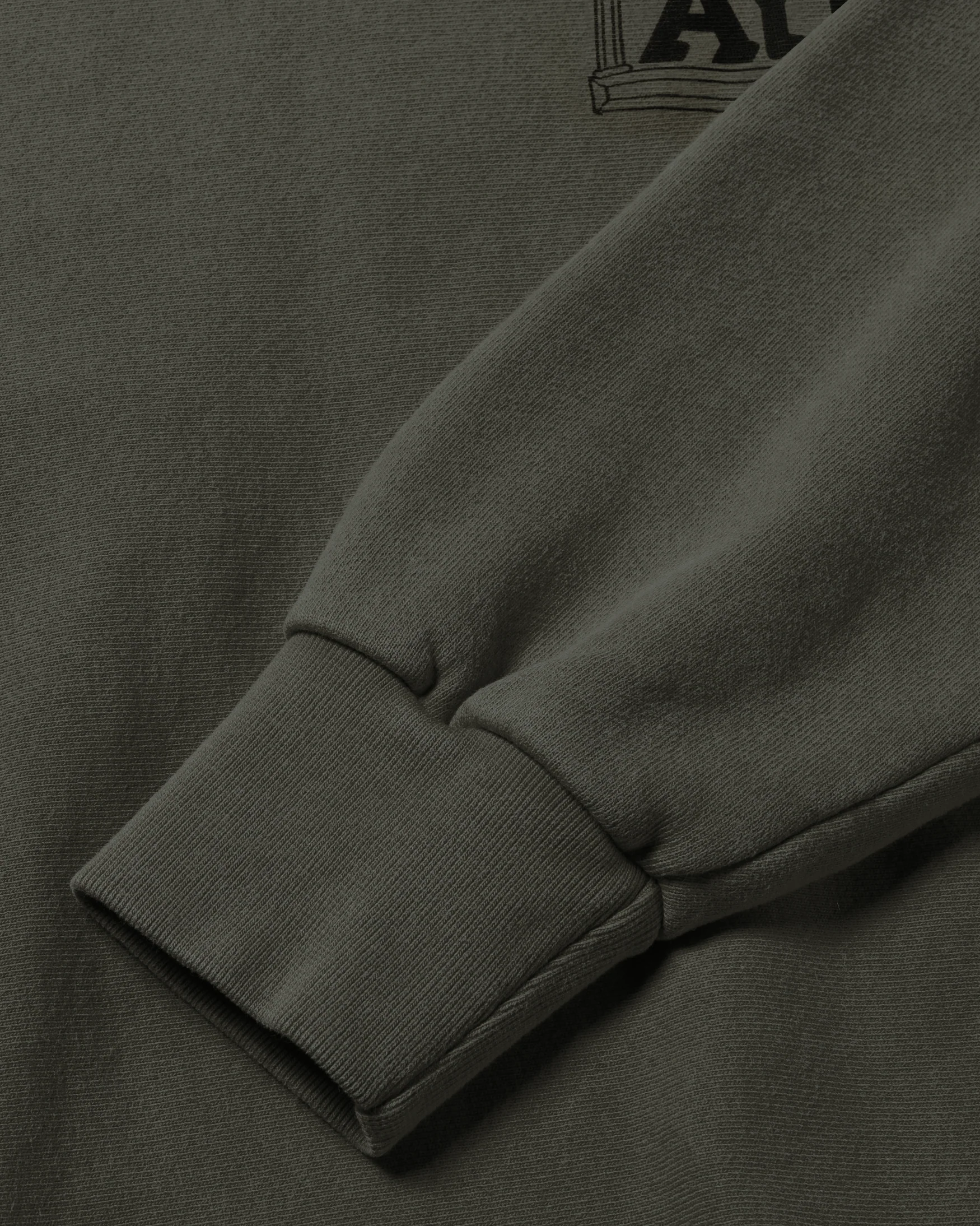 Premium Aged Temple Sweatshirt - Image 6