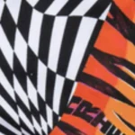 Aries x Vault by Vans Distorted Cheque Shorts - Image 6