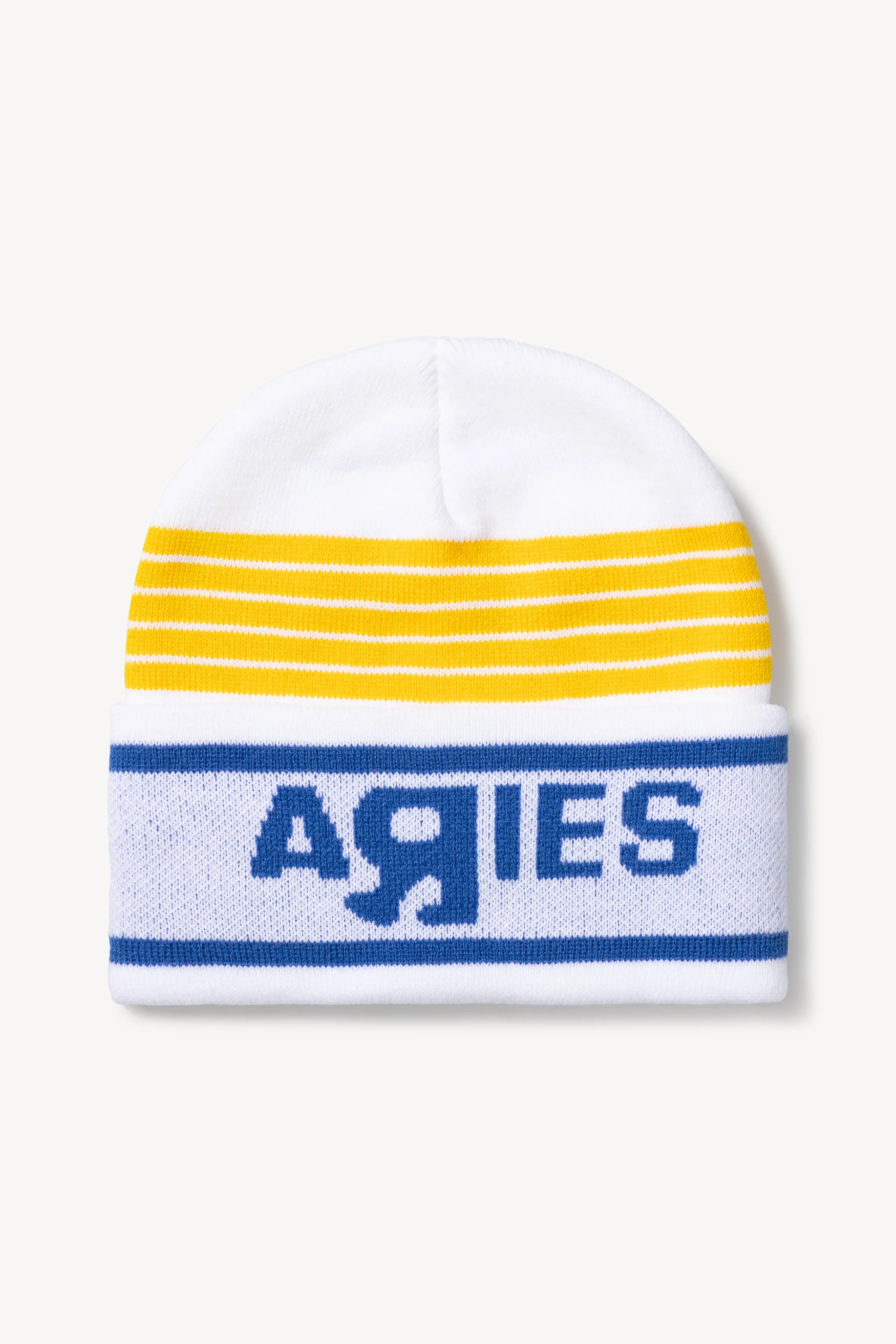 Aries x Vault by Vans Logo Beanie